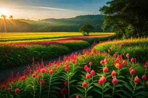 de zon stijgt over- een veld- van roze bloemen. ai-gegenereerd foto