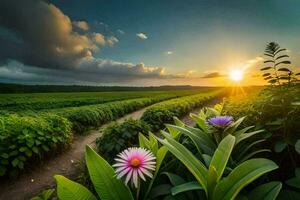 de zon stijgt over- een veld- van groen planten en bloemen. ai-gegenereerd foto