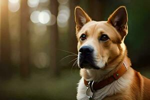 een hond is op zoek Bij de camera met een Woud in de achtergrond. ai-gegenereerd foto