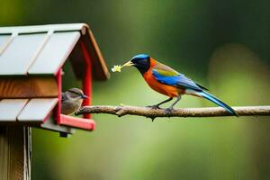 een kleurrijk vogel is aan het eten van een vogel voeder. ai-gegenereerd foto