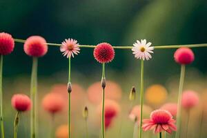 bloemen Aan een draad. ai-gegenereerd foto