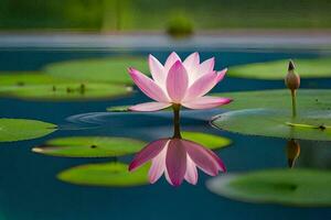 een roze lotus bloem is drijvend in een vijver. ai-gegenereerd foto