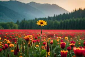 een veld- van rood en geel tulpen in voorkant van bergen. ai-gegenereerd foto