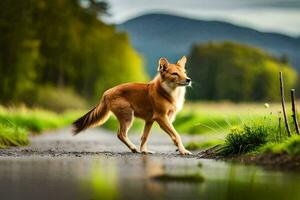 een hond wandelen langs een pad in de midden- van een veld. ai-gegenereerd foto