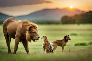 een leeuw en twee cheeta's in de wild. ai-gegenereerd foto