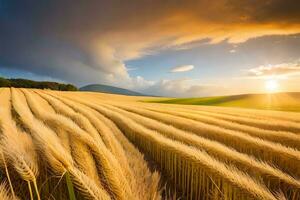 gouden tarwe veld- Bij zonsondergang. ai-gegenereerd foto