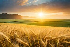 gouden tarwe veld- Bij zonsondergang. ai-gegenereerd foto