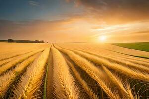 een veld- van tarwe is getoond Bij zonsondergang. ai-gegenereerd foto