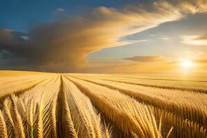 gouden tarwe veld- Bij zonsondergang. ai-gegenereerd foto