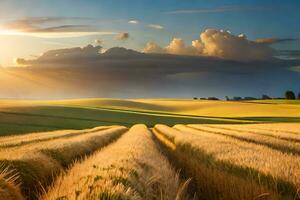 een veld- van tarwe is getoond Bij zonsondergang. ai-gegenereerd foto