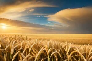 een veld- van tarwe is getoond in de zonsondergang. ai-gegenereerd foto