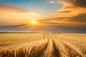 gouden tarwe veld- Bij zonsondergang. ai-gegenereerd foto