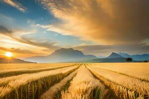 een veld- van tarwe is getoond Bij zonsondergang. ai-gegenereerd foto