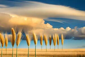 een veld- van tarwe met wolken in de achtergrond. ai-gegenereerd foto