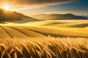 gouden tarwe veld- Bij zonsondergang. ai-gegenereerd foto