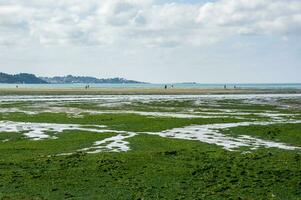 groen algen invasie ecologisch bezorgdheid in saint-michel-en-grve, Bretagne, Frankrijk foto