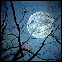 blauw lucht wit maan foto