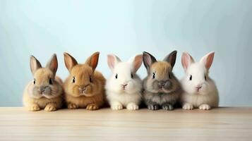 vijf aanbiddelijk konijnen in een minimalistische instelling foto