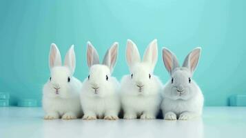 een charmant groep van schattig konijnen tegen een minimalistische backdrop foto