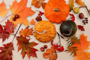 pompoenen en patteson omringd door herfst bladeren, lijsterbes bessen en kastanjes Aan een grijs achtergrond. achtergrond voor dankzegging dag foto