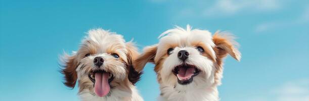 ai gegenereerd huisdieren jong gras huiselijk grappig klein hoektand weinig schattig zoogdier aanbiddelijk wit vacht portret dier natuur honden puppy zomer foto