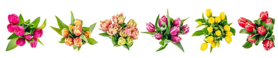 tulp bloemen boeketten verzameling visie van bovenstaande, reeks geïsoleerd Aan transparant wit foto