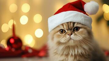 schattig kat in de kerstman claus hoed tegen wazig Kerstmis lichten ai generatief foto