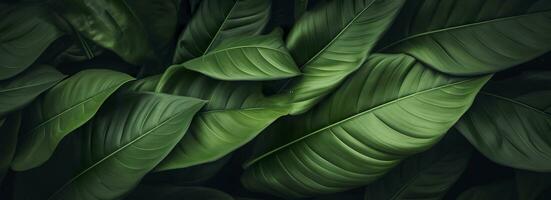 abstract groen blad structuur met natuur achtergrond, tropisch blad. generatief ai foto