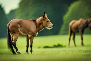 een bruin paard staand in de gras. ai-gegenereerd foto