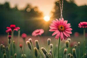 roze bloemen in een veld- Bij zonsondergang. ai-gegenereerd foto