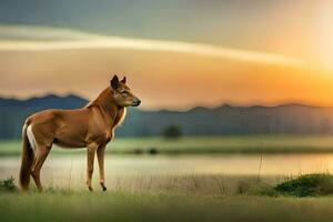 een paard staand in de gras Bij zonsondergang. ai-gegenereerd foto