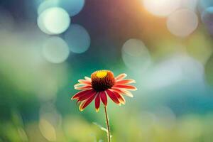 foto behang de zon, bloemen, de veld, de zon, de veld, de zon,. ai-gegenereerd