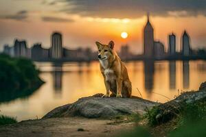 een hond zittend Aan een rots in voorkant van een stad horizon. ai-gegenereerd foto
