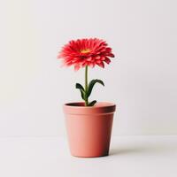 bloemen in pot Aan wit achtergrond ai generatief foto