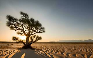 eenzaam schildwacht, een boeiend portret van een eenzaam boom temidden van de expansief omhelzing van de woestijn wildernis. ai gegenereerd foto