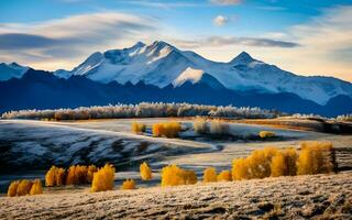 ijs kristal symfonie, onthullend de betoverend fijne kneepjes van vorst patronen Aan een gekoeld winter ochtend. ai gegenereerd foto