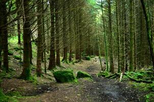 twee kerken wandelen Aan dunvegan in Schotland foto