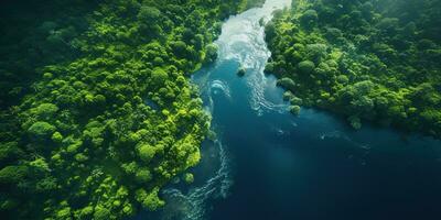 generatief ai, groen mooi amazone oerwoud landschap met bomen en rivier, dar visie foto