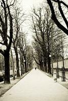 Parijse charme wandelen naar beneden boulevard arago foto