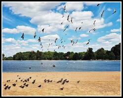 dageraad vlucht Bij hyde park, Londen foto