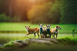 foto behang de lucht, honden, natuur, water, gras, bomen, dieren, dieren,. ai-gegenereerd