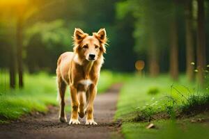 een hond wandelen Aan een pad in de bossen. ai-gegenereerd foto