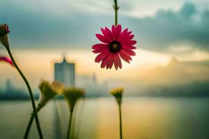 een roze bloem is in voorkant van een stad horizon. ai-gegenereerd foto