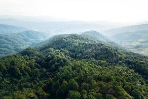 bergen en zomerse groene bossen foto