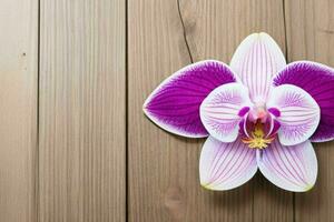 orchidee bloem. achtergrond. ai generatief pro foto