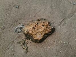 koraal steen Aan de kust Bij oosten- Java strand foto