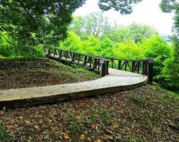 houten spoorweg brug in de park. sappig groenen, helder fantastisch kleuren foto