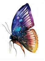 kleur vlinder , geïsoleerd Aan wit foto