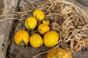 aubergine en granaatappel geplaatst in de tuin of een weinig stro foto