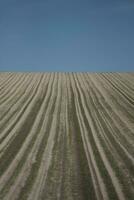 geploegd veld- in de ochtend- foto